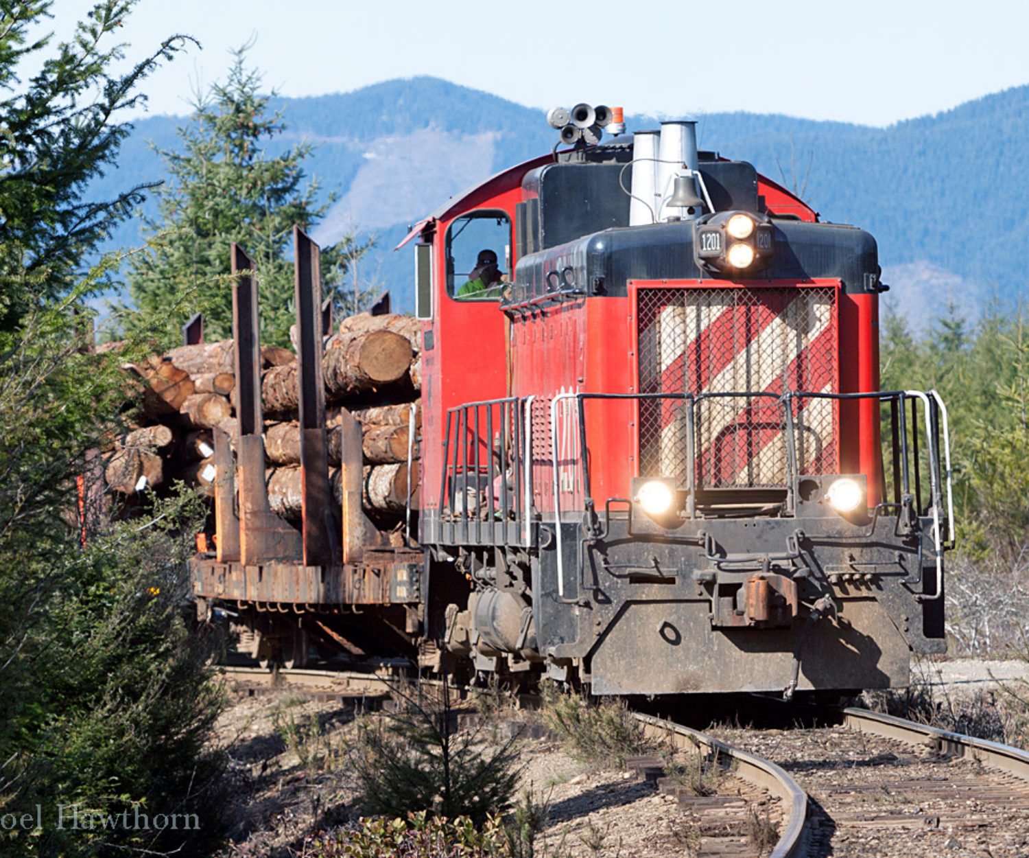 Log train heading back down hill from Mill 5 at mile post 8.