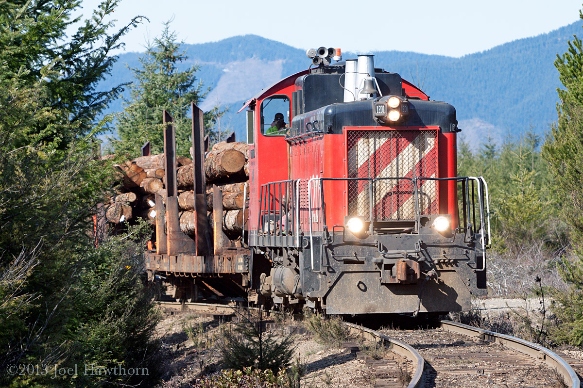 Log train heading back down hill from Mill 5 at mile post 8.