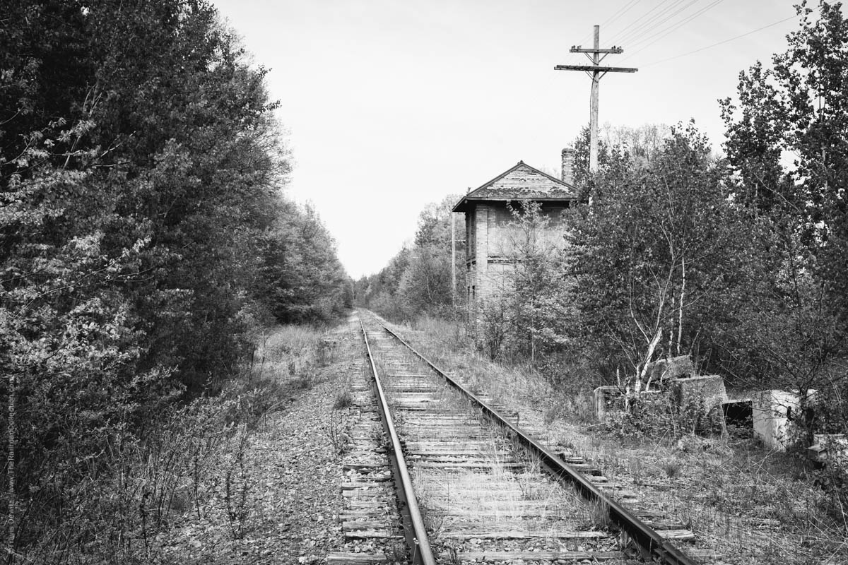 Looking north towards Rice Lake from the Wisconsin Northern's tracks. This abandoned tower use to protect the crossing of the Chicago and North Western and the Soo Line. It was built in 1901 and protected this crossing until the 1960's. This was the Chicago and North Western's or Omaha Road's, line north from Altoona to Superior. It was Soo Line's branchline from Cameron north to Rice Lake. This track is now operated by Canadian National.